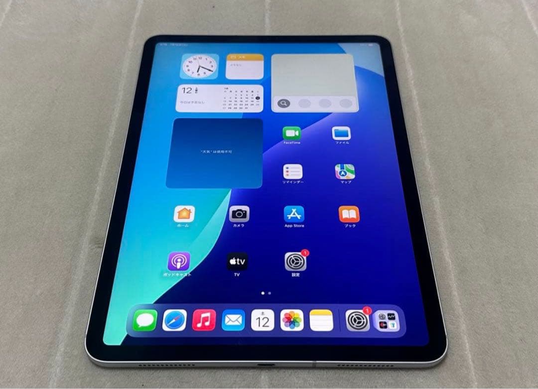 iPad Pro 第2世代 11インチ256GB 【即日発送】【大幅値下げ】