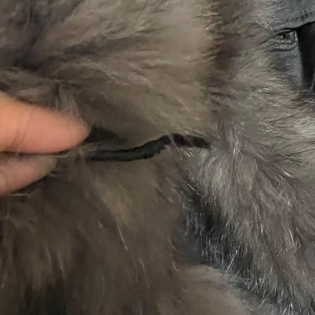 希少♡高級 シルク100 リバーシブル ブルーフォックス 毛皮コート ベルト 黒