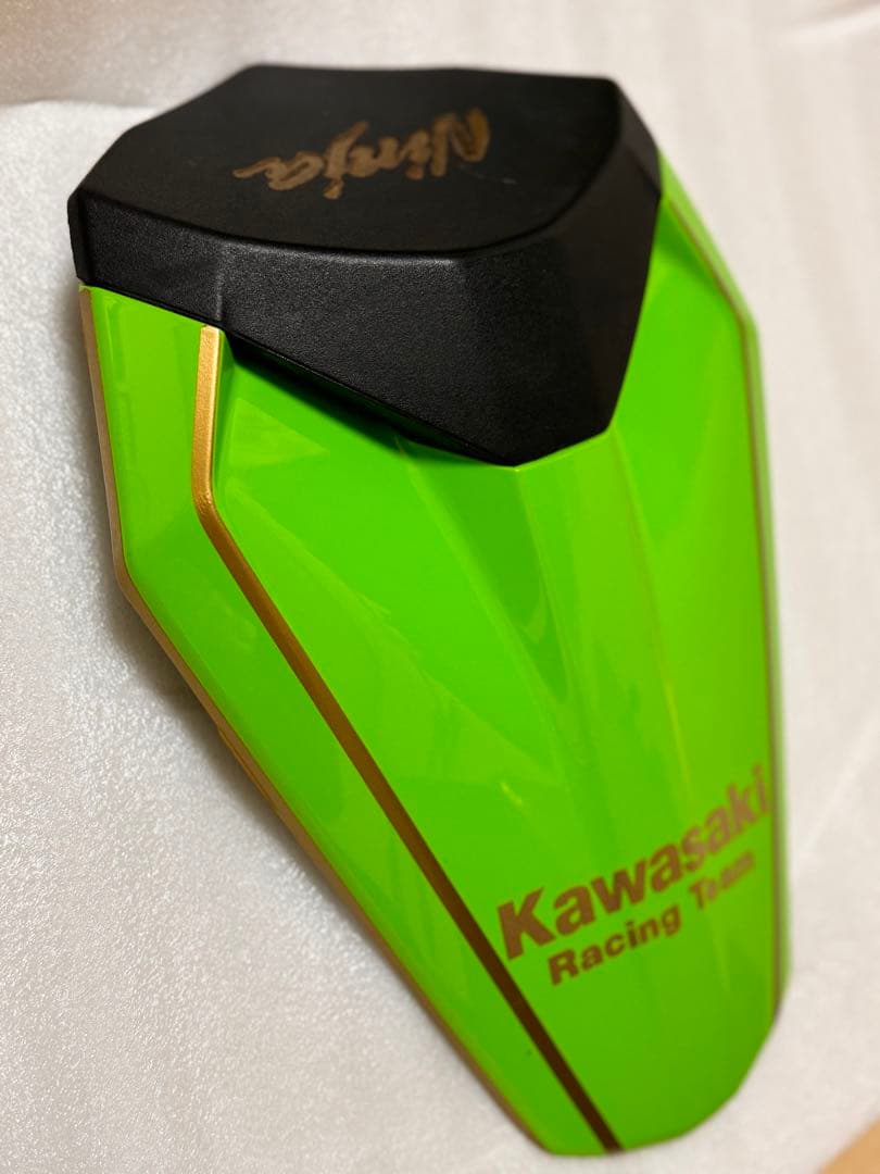 zx25R フルカウルセット