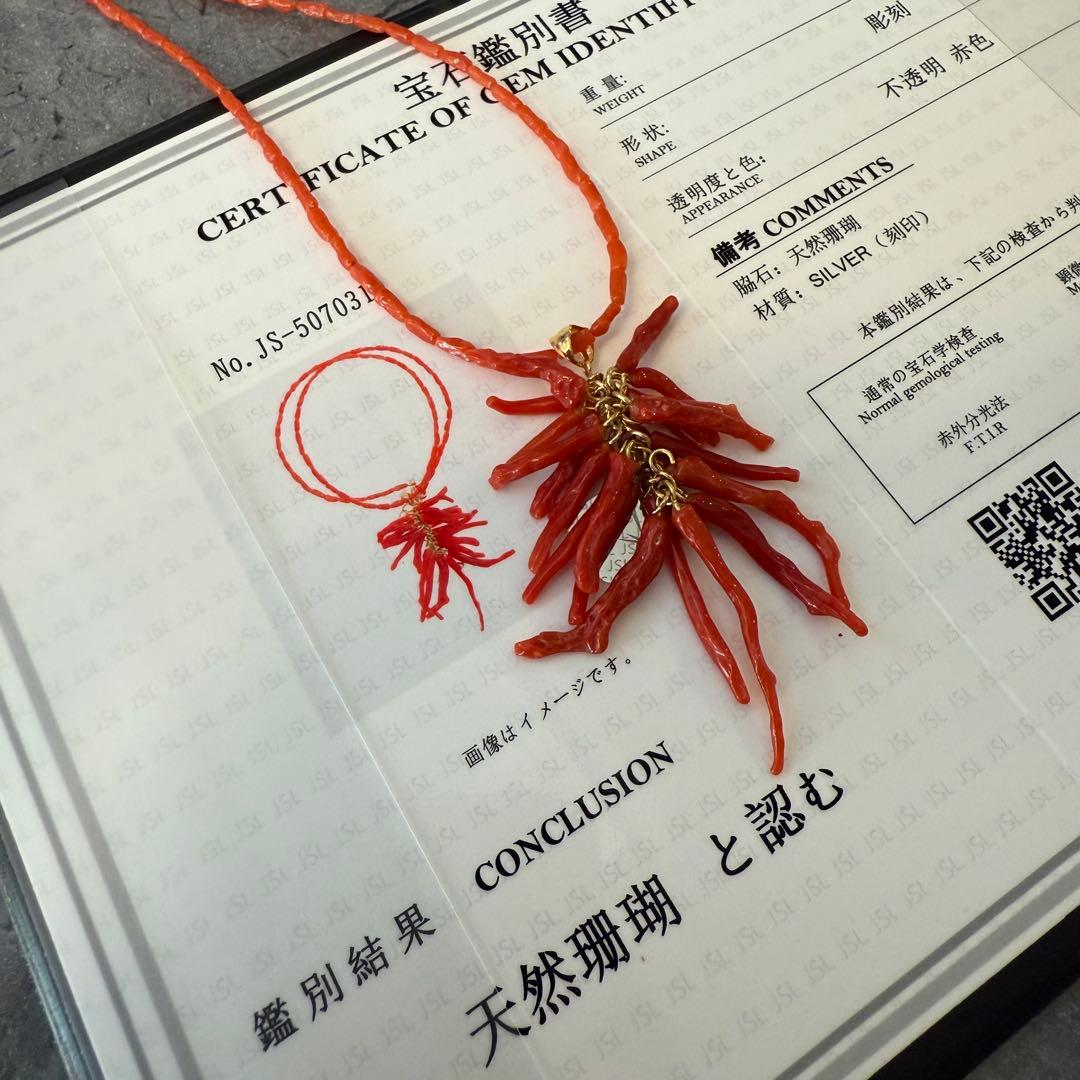 鑑定書付き　天然赤珊瑚のペンダントネックレス　地中海珊瑚　無染色