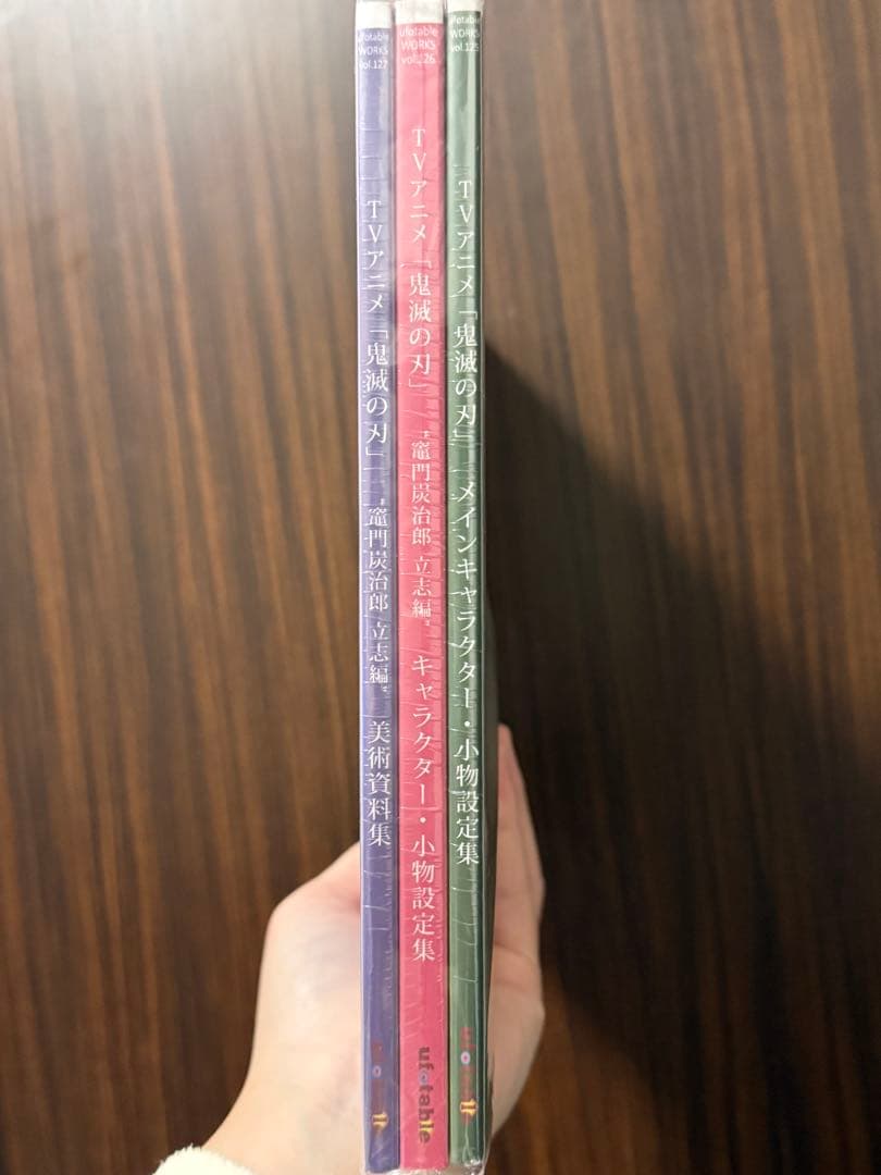 鬼滅の刃 立志編 設定集 美術資料集 3冊セット