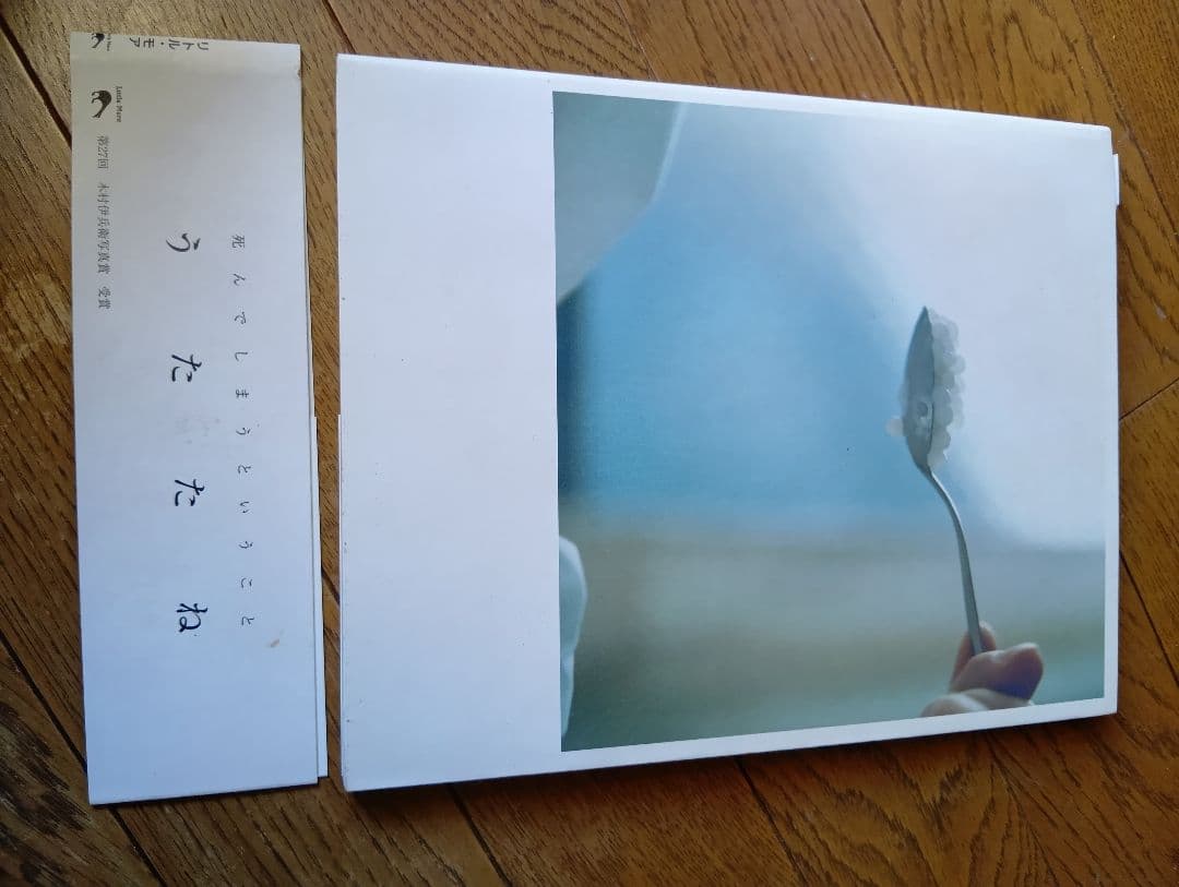 川内倫子　新品同様　AILA その他 セット売り　写真集