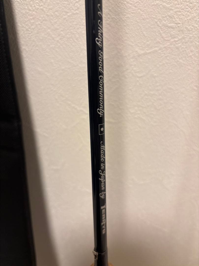 テンリュウ　レイズ・スペクトラ RZS82M(Pluggin'Custom)