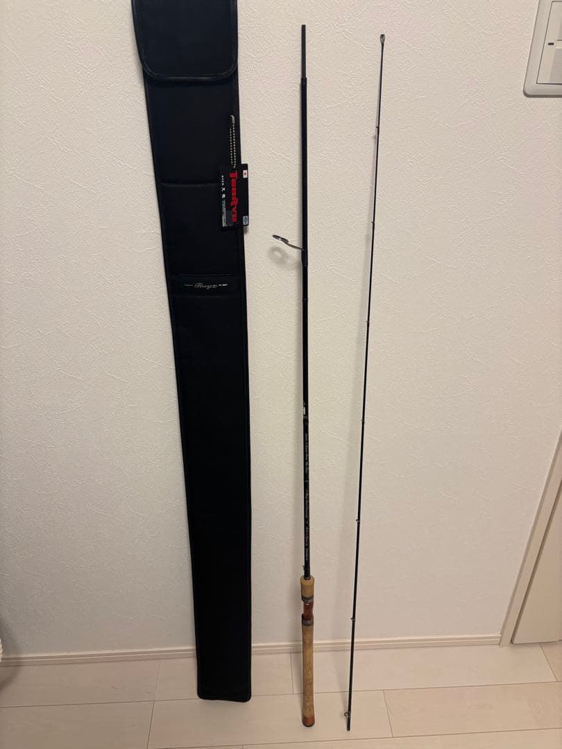 テンリュウ　レイズ・スペクトラ RZS82M(Pluggin'Custom)