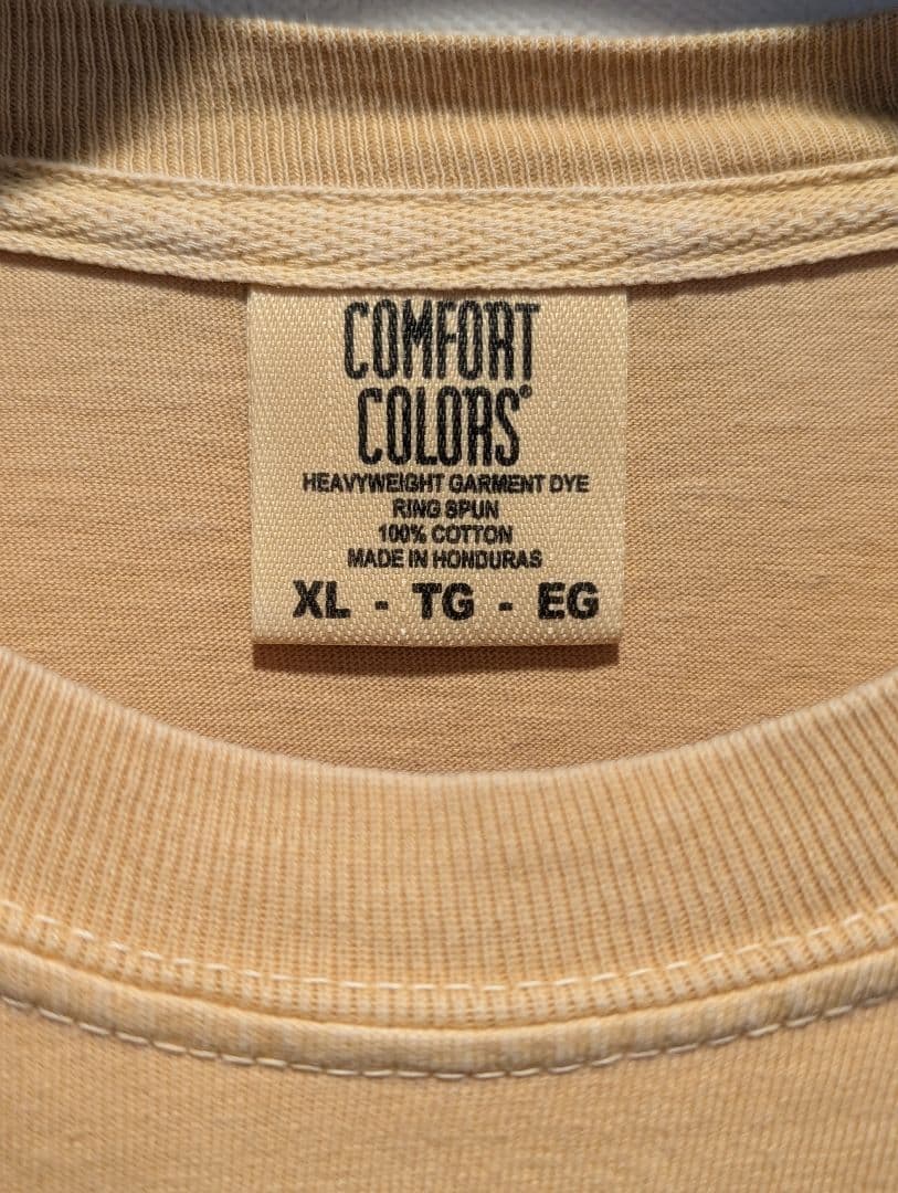 【2枚セット】激レア フィッシュマンズ Tシャツ XL