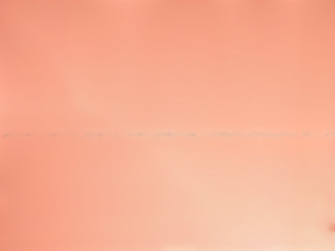 ロングボード 9.6F デューイ ウェーバー スタイリスト オマケ多数