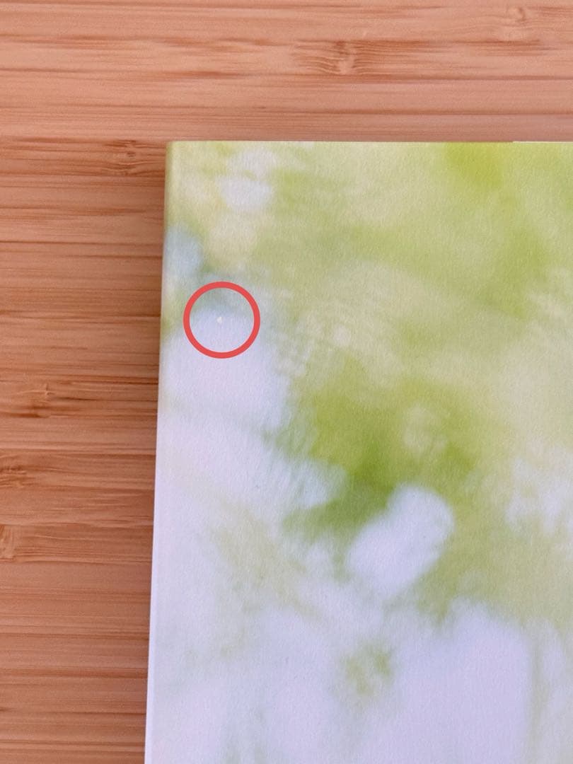 中村倫也 写真集 童歌 蓑唄 2冊組 ブックケース付