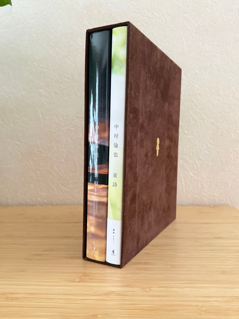 中村倫也 写真集 童歌 蓑唄 2冊組 ブックケース付