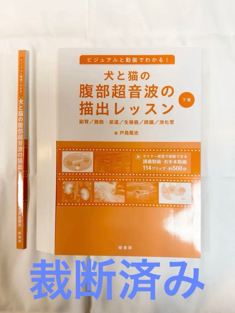 【裁断済み】ビジュアルと動画でわかる！ 犬と猫の腹部超音波の描出レッスン 下巻