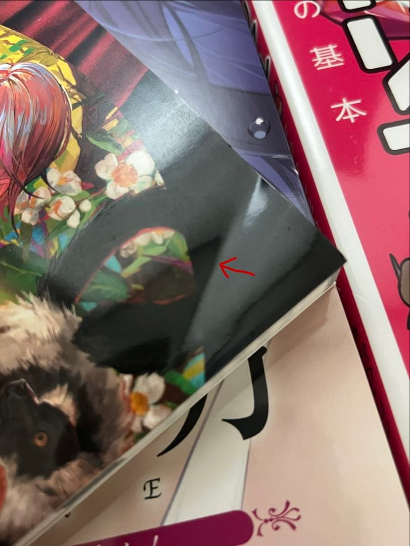 イラスト本　まとめ売り　11点　スカルプターのための美術解剖学…