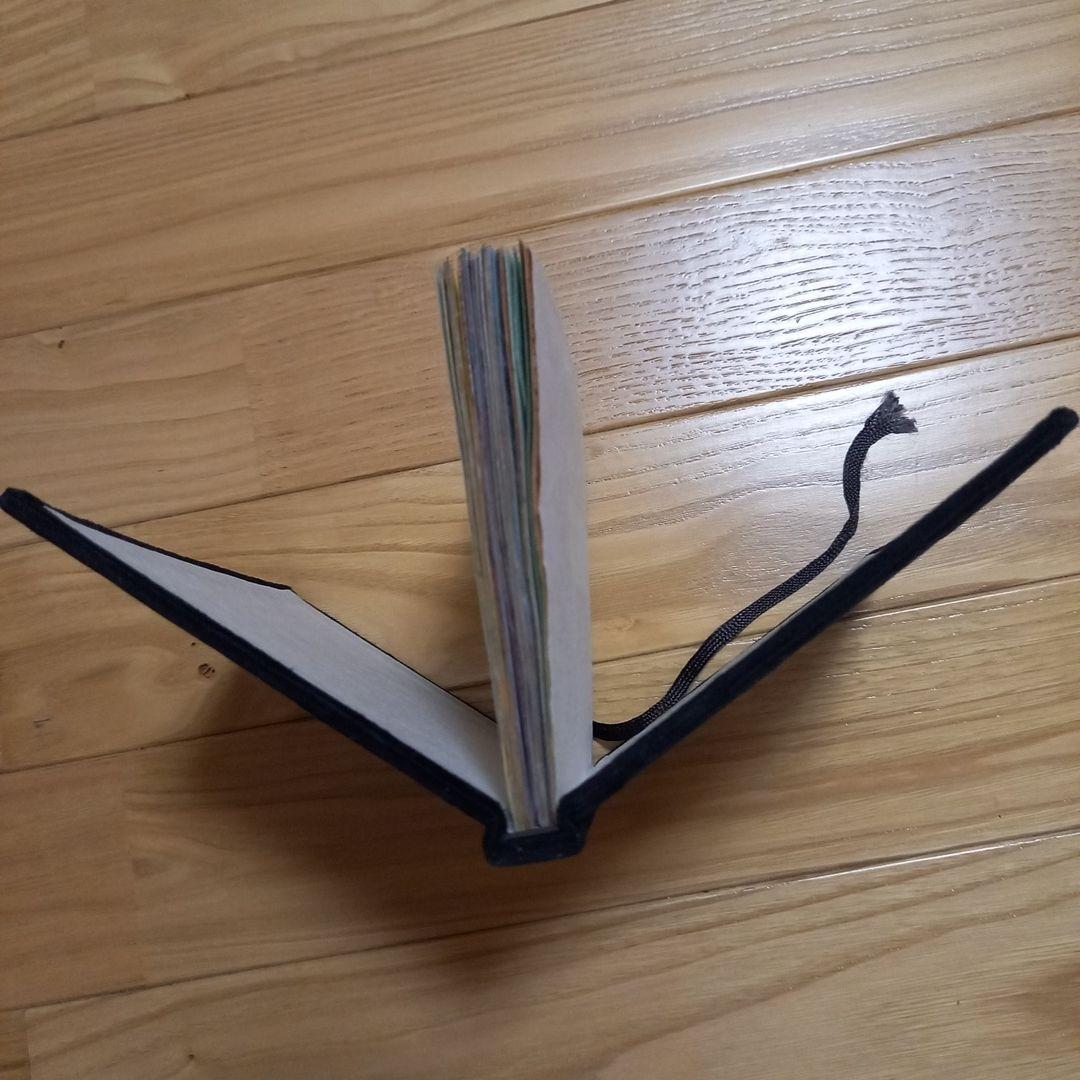 笠井千鶴　ハリネズミの愛しかた　手作り作品アート本直筆サイン入　ボックスアート展