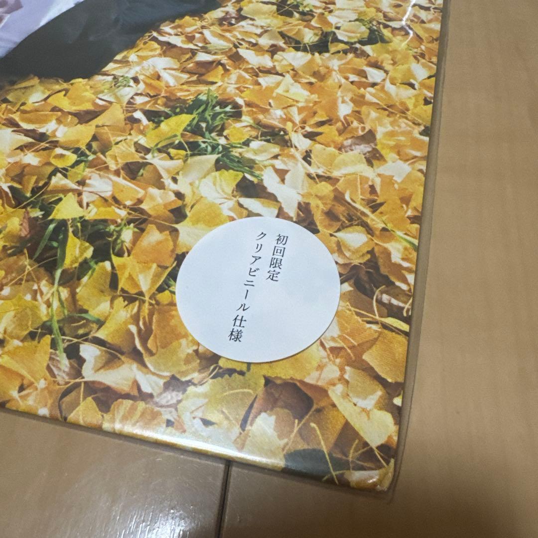 銀杏　ゴイステ LP15枚セット