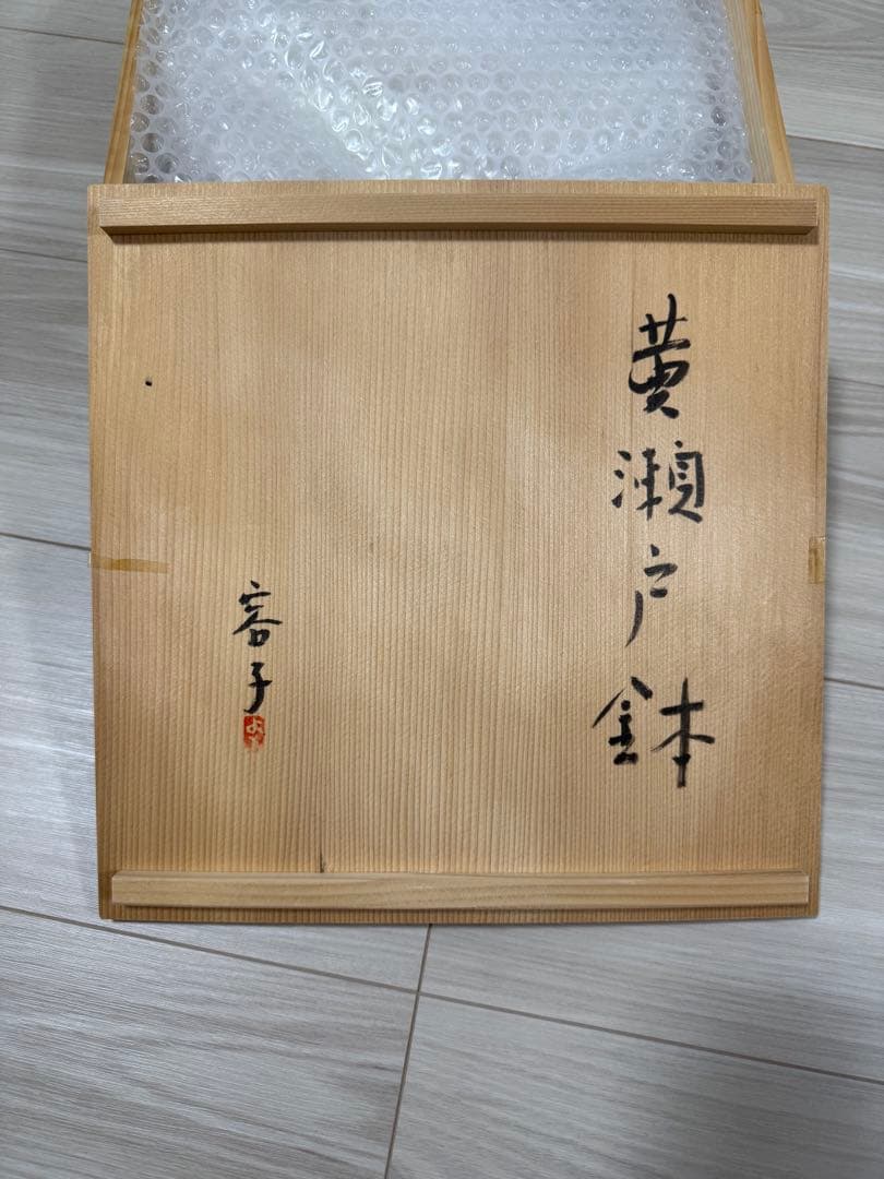 作家:有元容子　作品　計6点