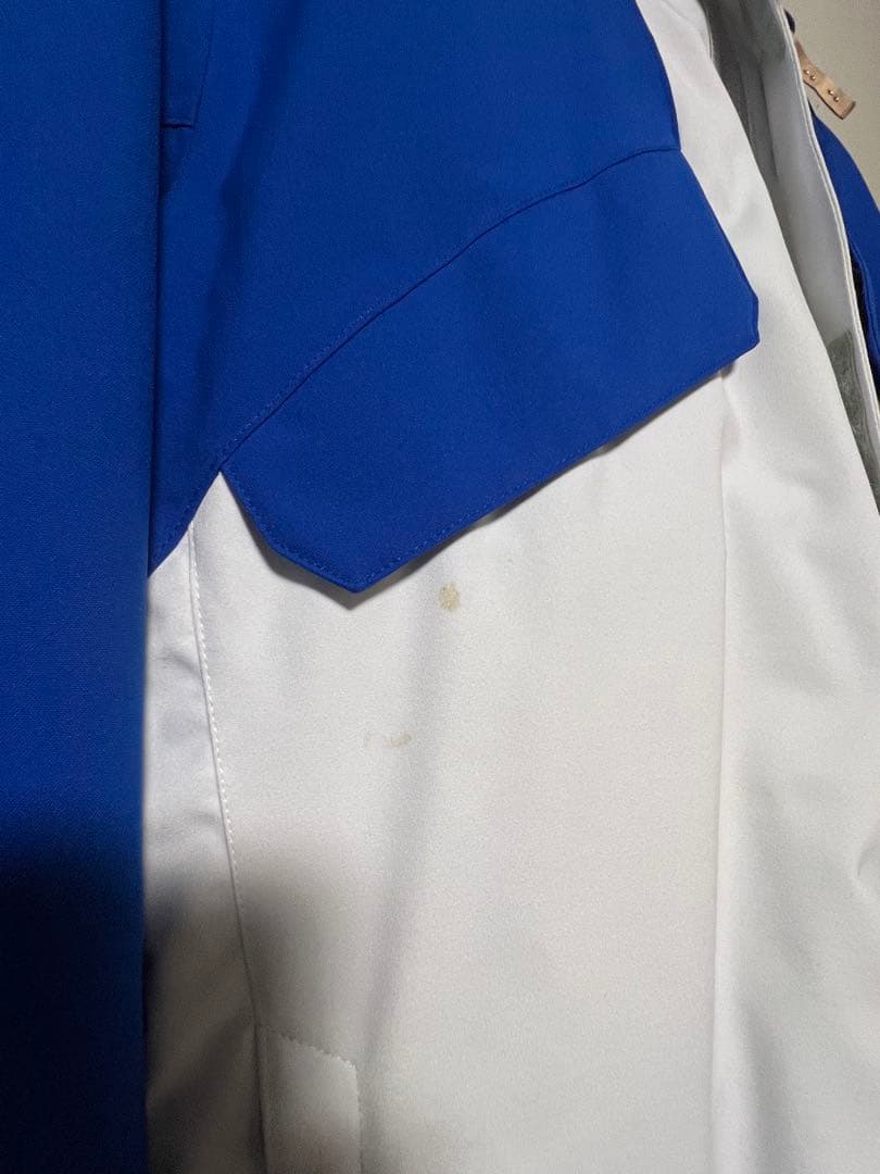 Goldwin スキーウェア 青白