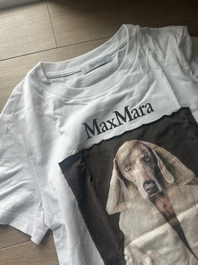 【美品】MaxMara ドッグプリント Tシャツ　xs