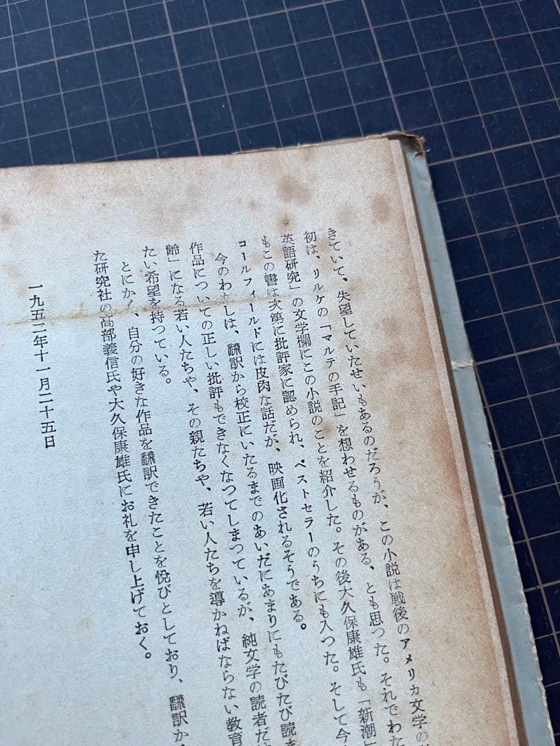 危険な年齢　サリンガー　ライ麦畑でつかまえて　サリンジャー