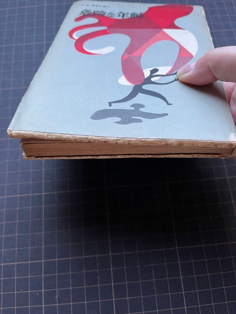 危険な年齢　サリンガー　ライ麦畑でつかまえて　サリンジャー