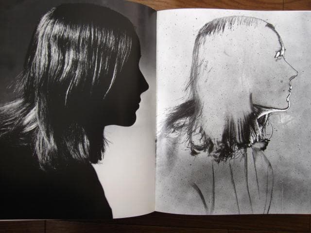 Niki De Saint Phalle　ニキ・ド・サンファル　カタログ　レゾネ