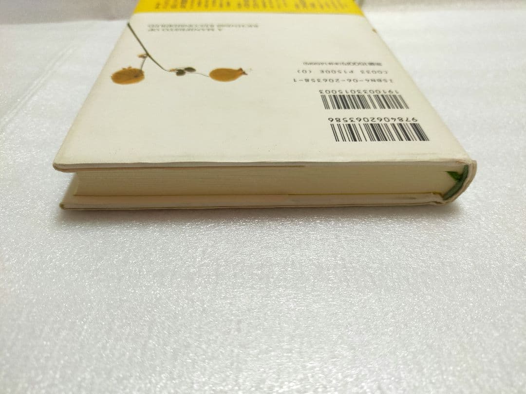 【希少本 レア】「生活充実国」宣言 海江田万里 著 初版