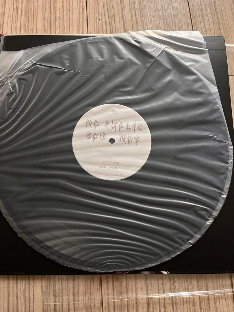 君島大空 No Public Sounds レコード