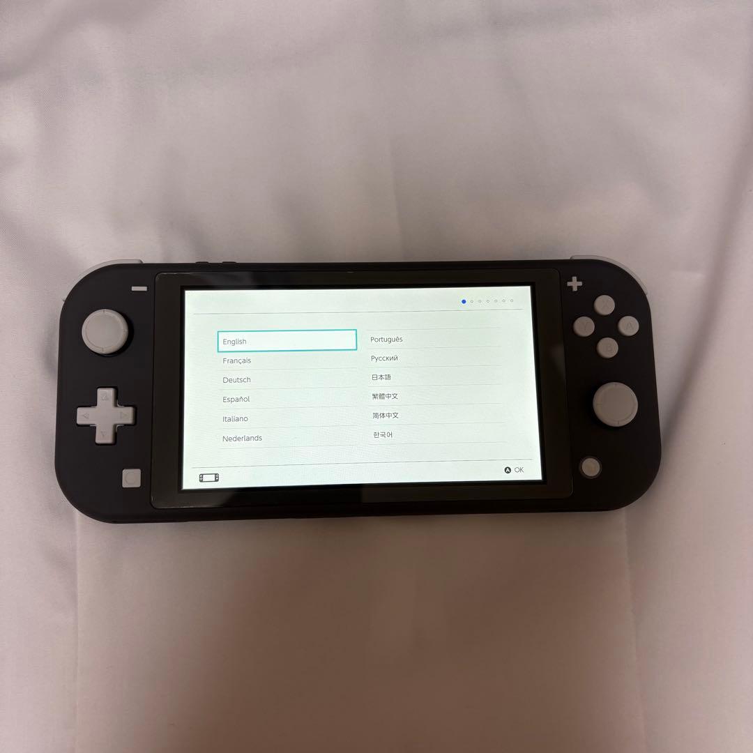 【先月購入】焼肉さま専用Nintendo Switch Lite グレー 本体