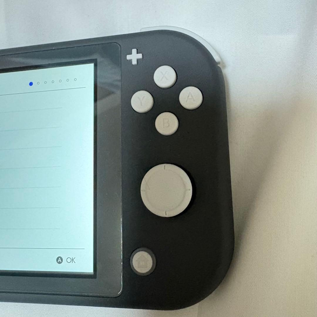 【先月購入】焼肉さま専用Nintendo Switch Lite グレー 本体