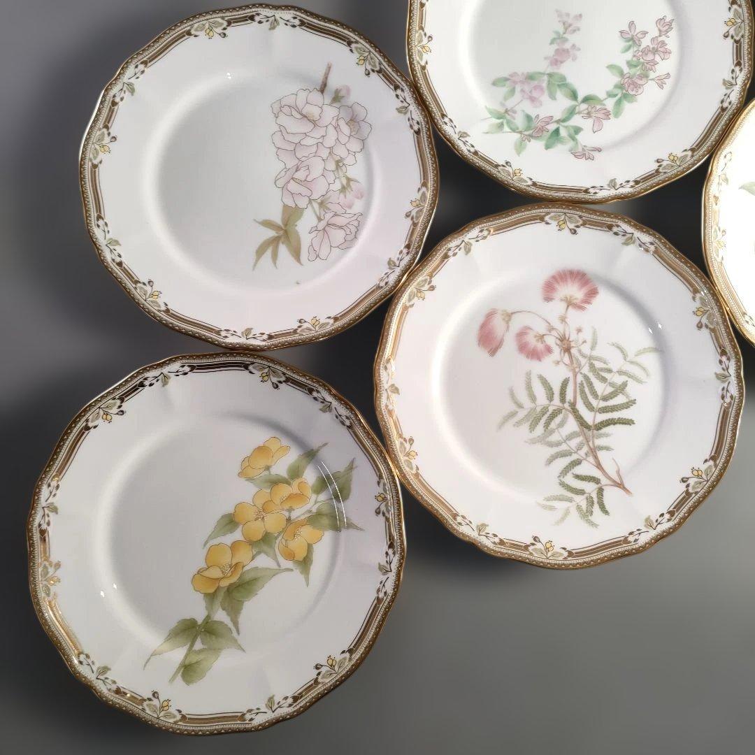 A1358-3/ノリタケ ガラコンテッサ/金彩色絵花草文絵替プレート6客/菓子皿