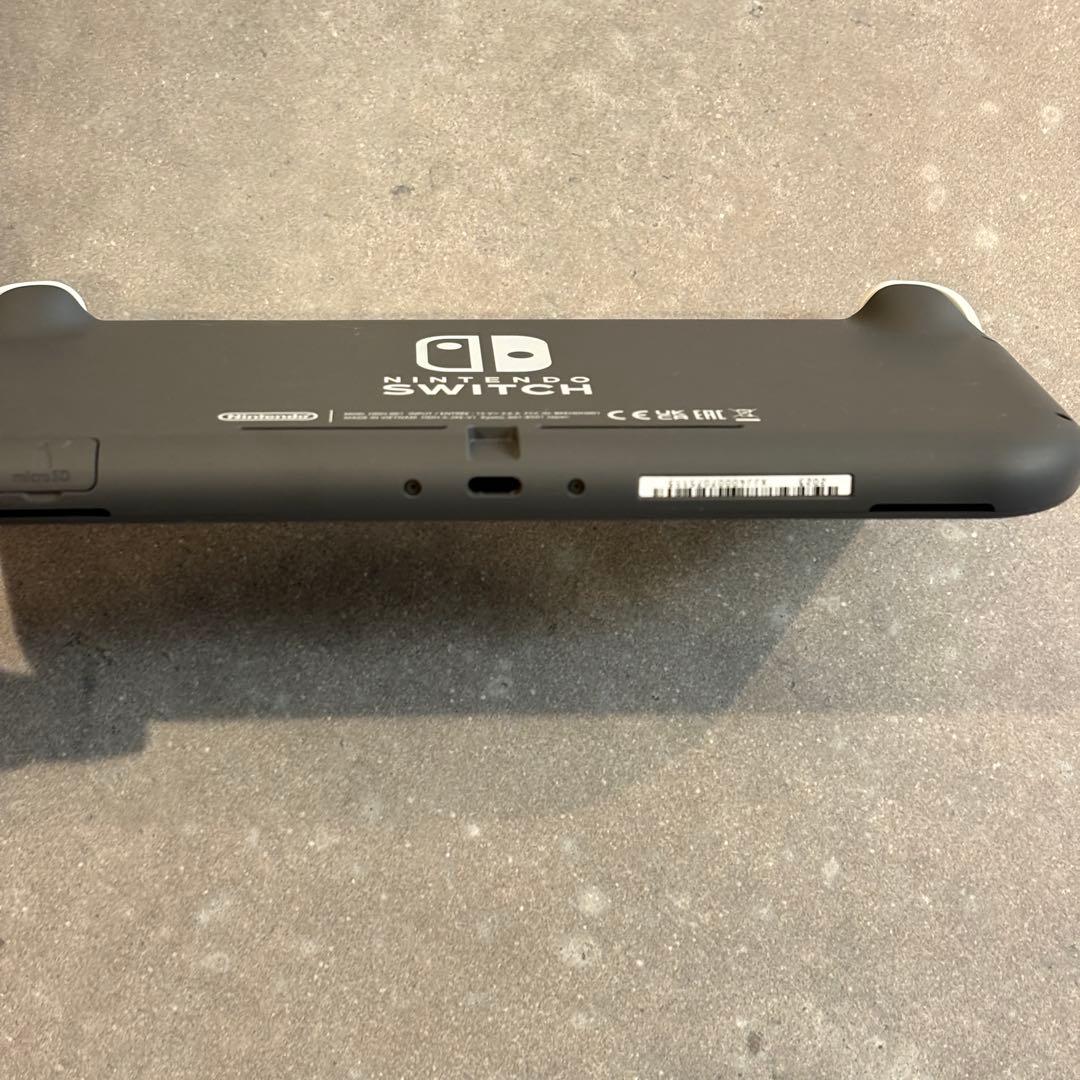 Nintendo Swich Lite / グレー