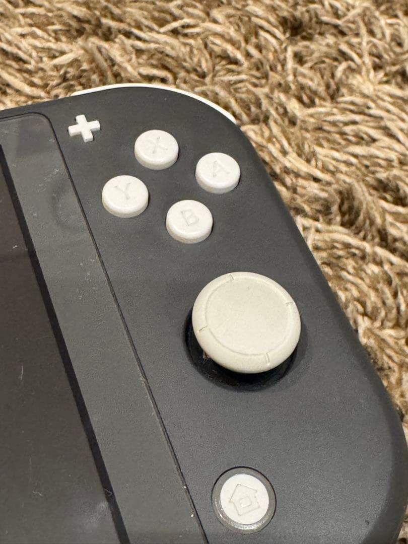 Nintendo Switch Lite 本体 シリコンカバー 充電器 ケース