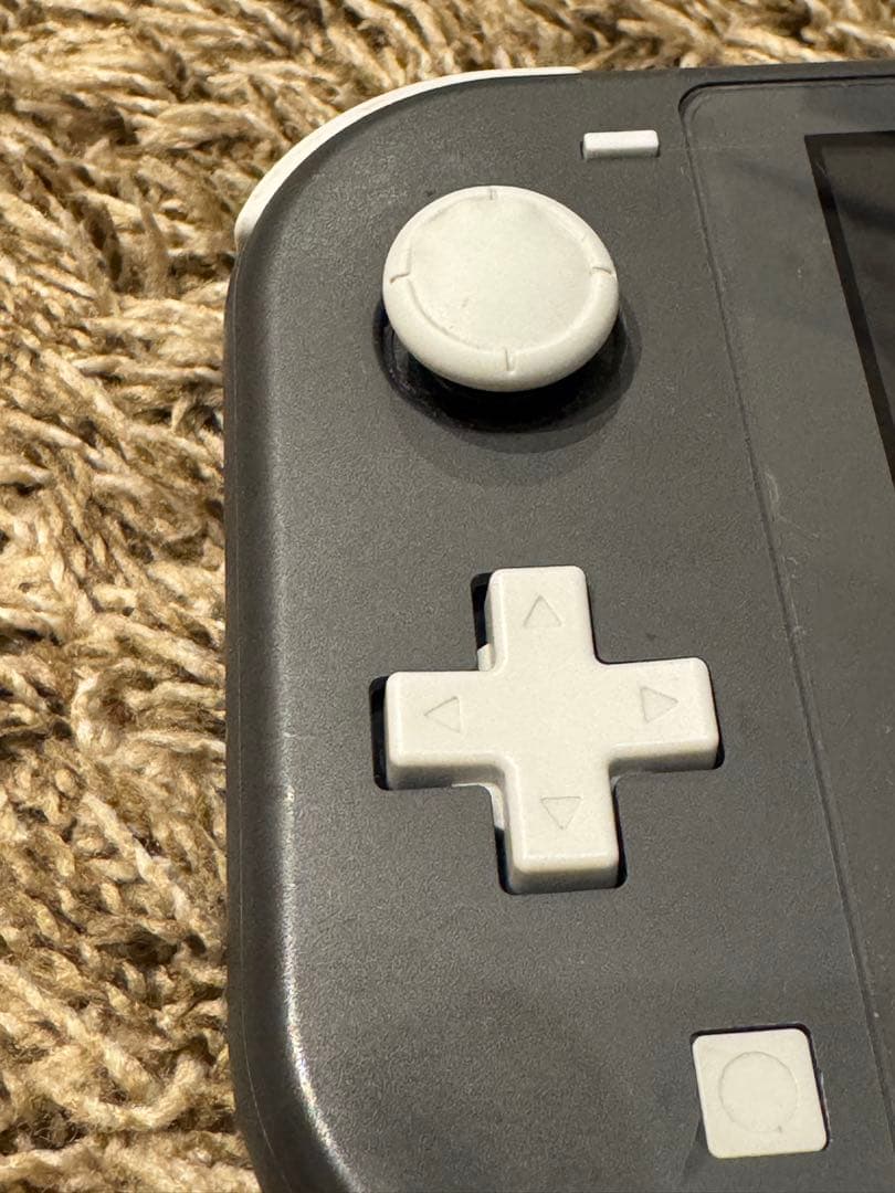 Nintendo Switch Lite 本体 シリコンカバー 充電器 ケース