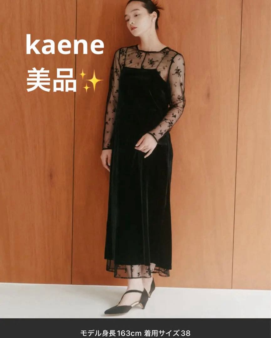 kaene フロッキーベロア2wayドレス 36