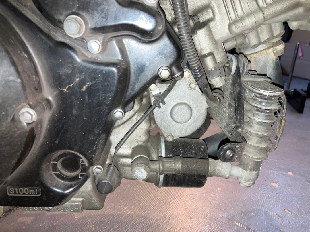 スズキTL1000S FRP アンダーカウル　skidmarx ベリーパン