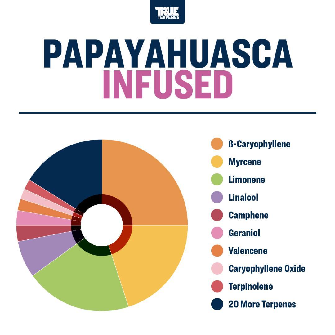 TRUE テルペン 香料 CBD CBN CBG 5ml パパイヤウエスカ