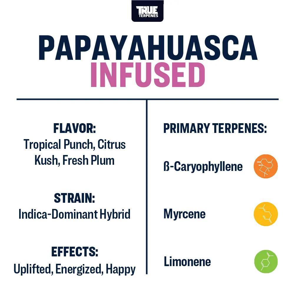 TRUE テルペン 香料 CBD CBN CBG 5ml パパイヤウエスカ