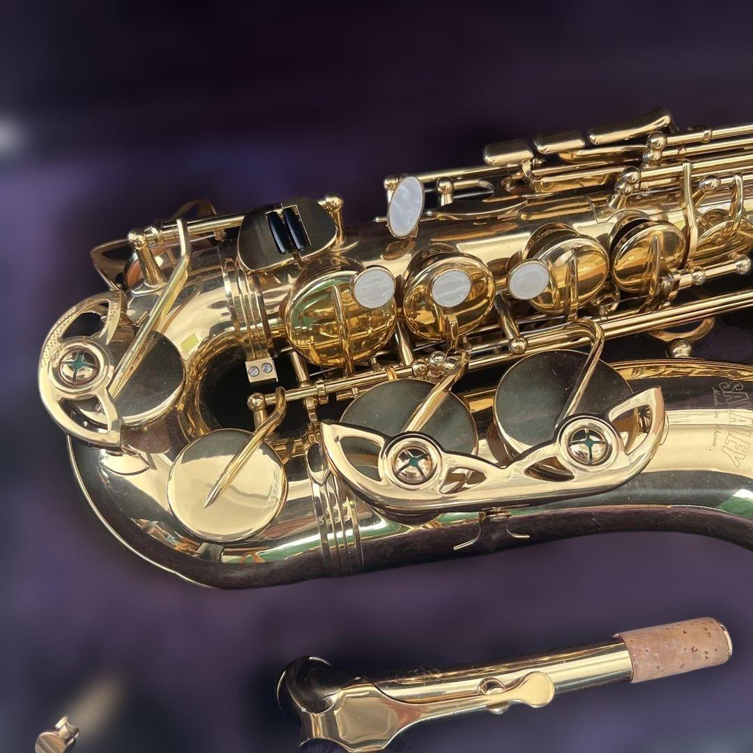 【初心者セット】SAVALEY アルトサックス ケース付き 付属品多数