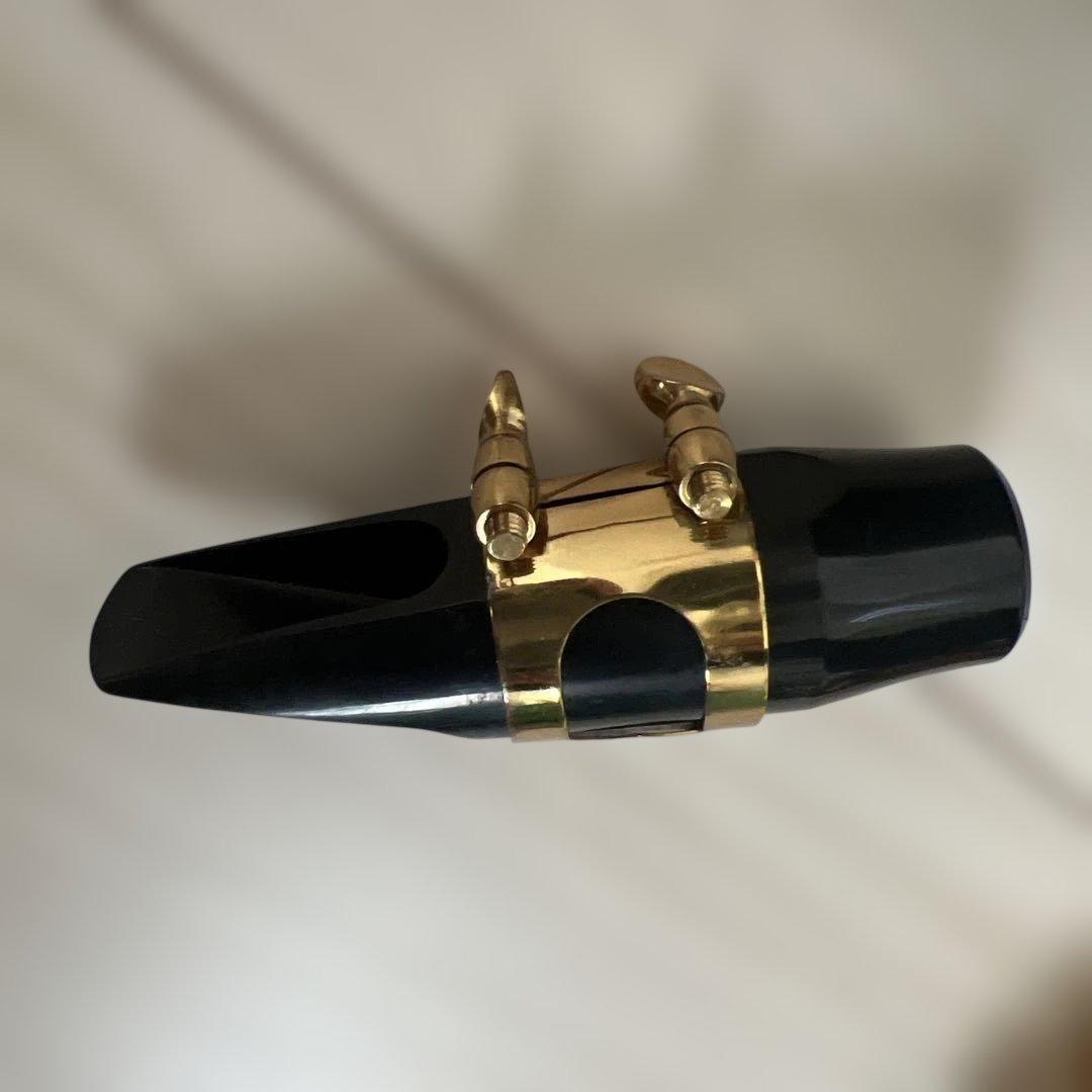 【初心者セット】SAVALEY アルトサックス ケース付き 付属品多数