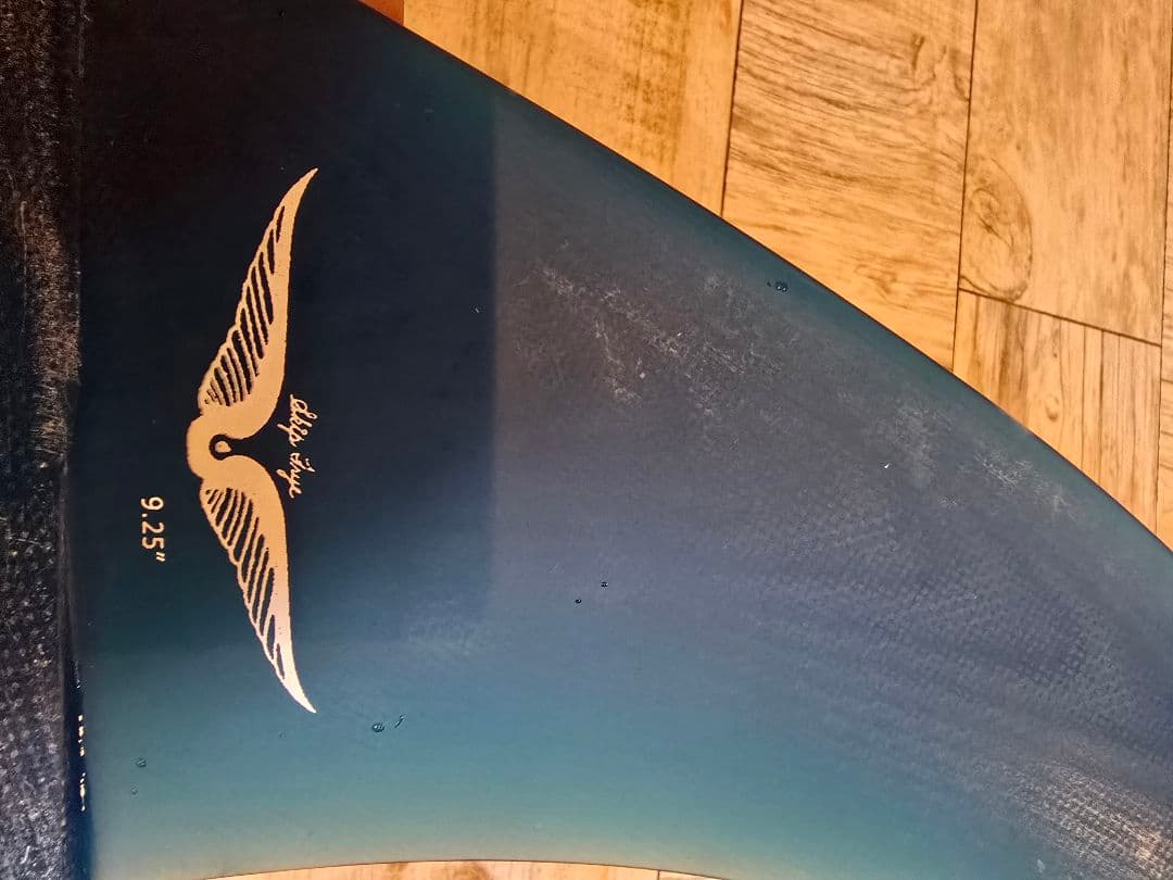 ⭐値下⭐TRUE AMES Skip Fryeフィン 9.25 ブルー