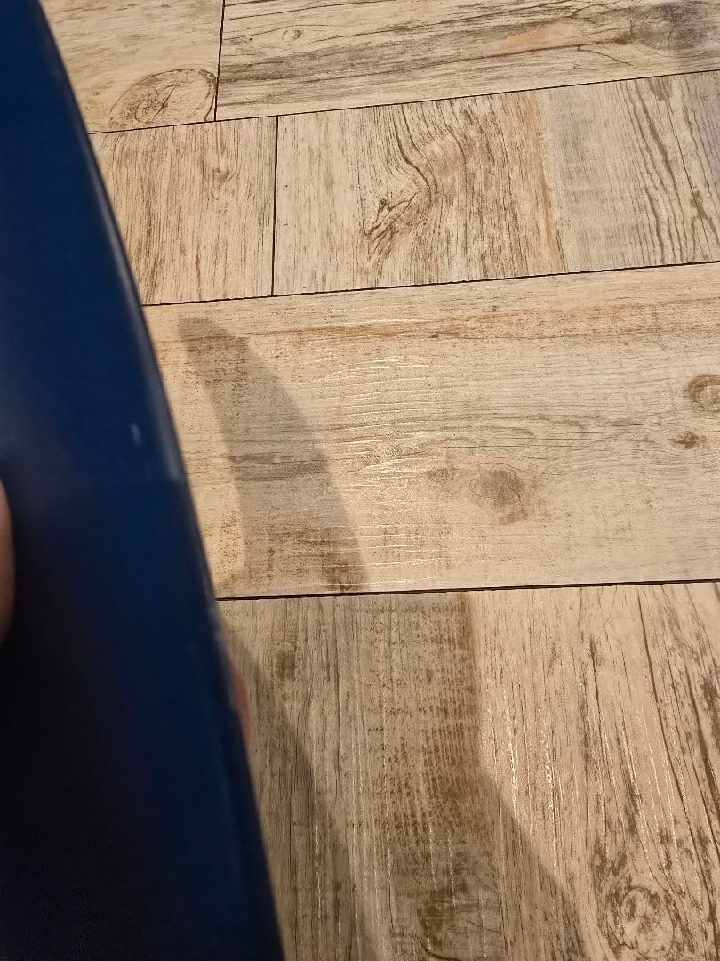 ⭐値下⭐TRUE AMES Skip Fryeフィン 9.25 ブルー