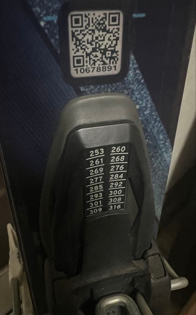 Salomon Astra Constellation 161cm スキー板