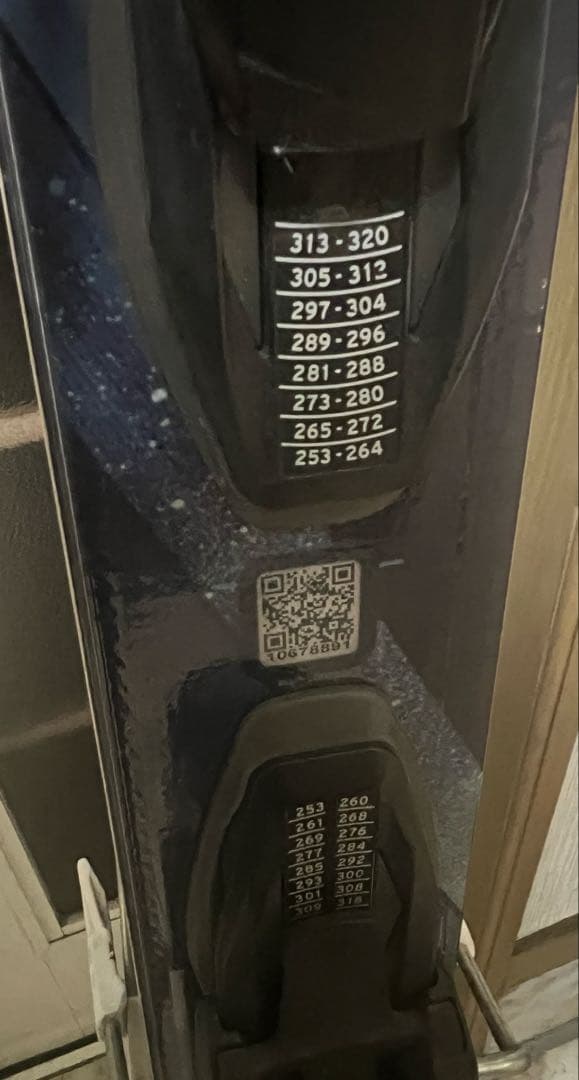 Salomon Astra Constellation 161cm スキー板