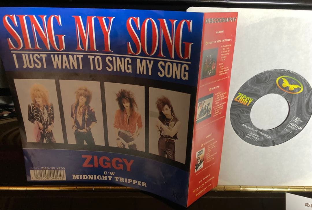 国内盤７インチシングル ジギー　ZIGGY SING MY SONG