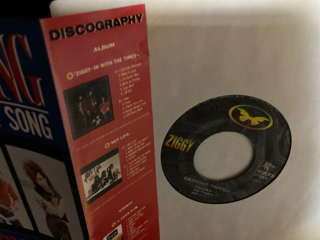 国内盤７インチシングル ジギー　ZIGGY SING MY SONG