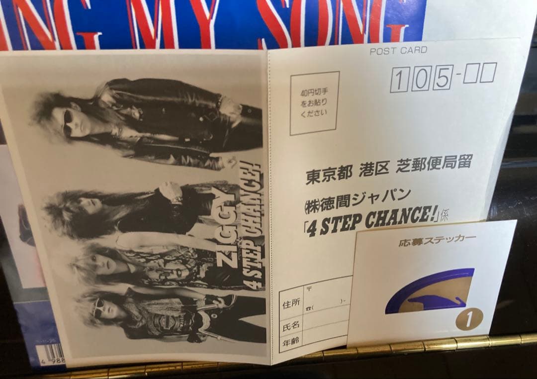 国内盤７インチシングル ジギー　ZIGGY SING MY SONG