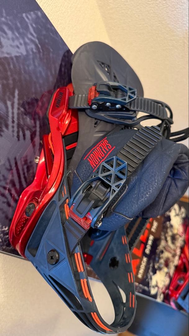 【週末セール価格】ALLIAN PRISM + SALOMON Shadow