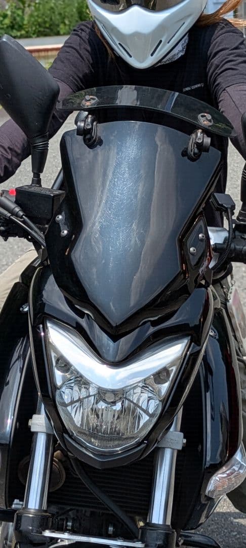 K　GSR250 スクリーン Puig 　 プーチ スクリーン