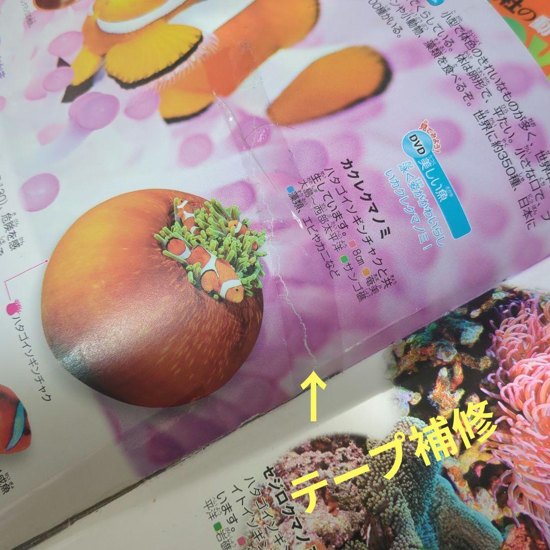 子供　図鑑NEO　図鑑MOVE　図鑑LIVE 16冊　DVD付き まとめ売り