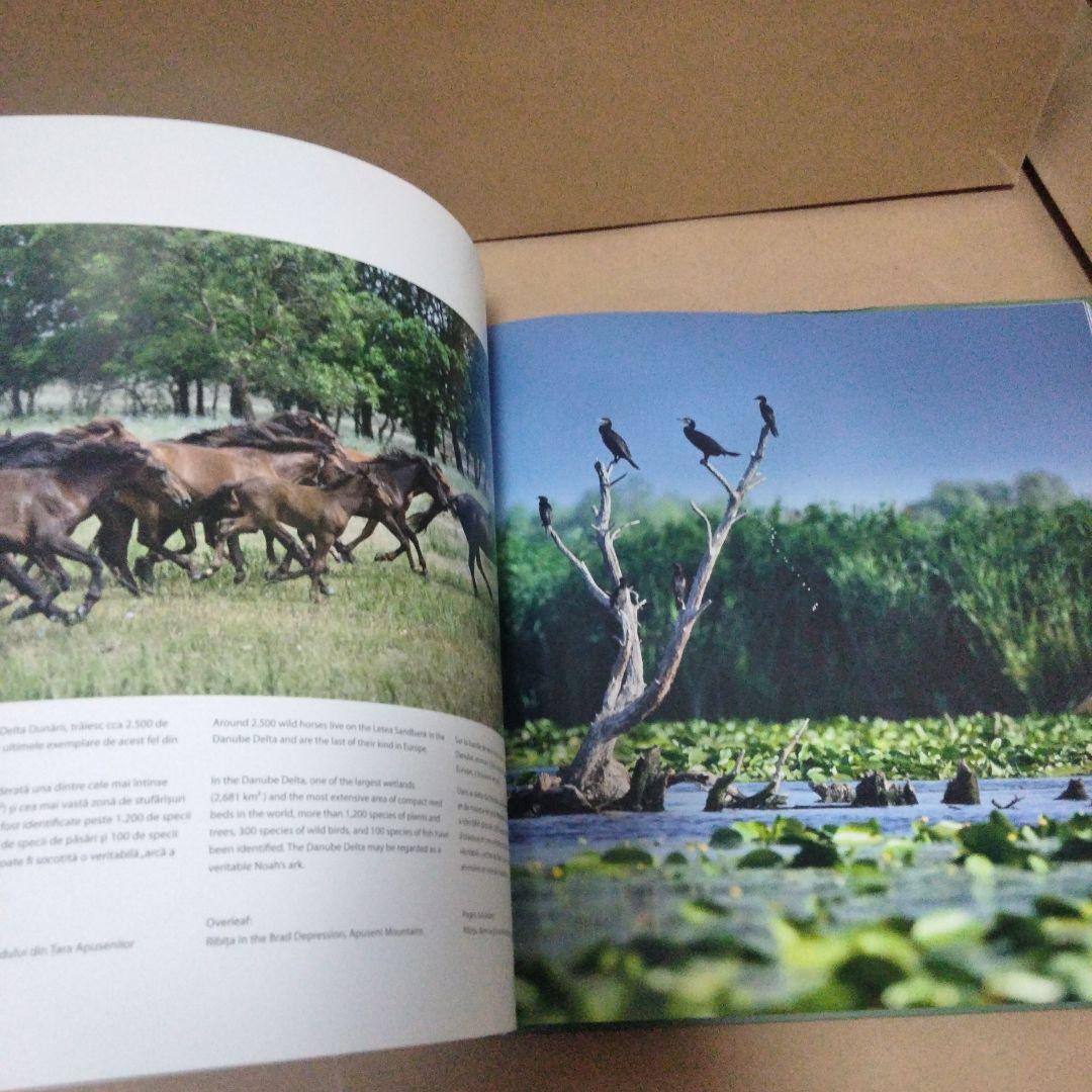 România: anotimpuri - seasons - saisons