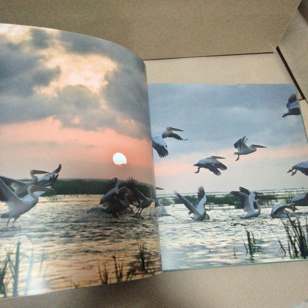 România: anotimpuri - seasons - saisons