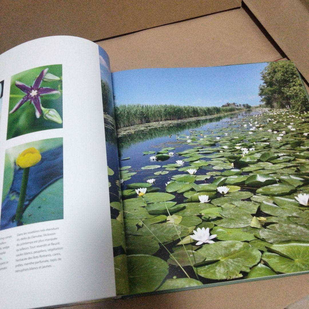 România: anotimpuri - seasons - saisons