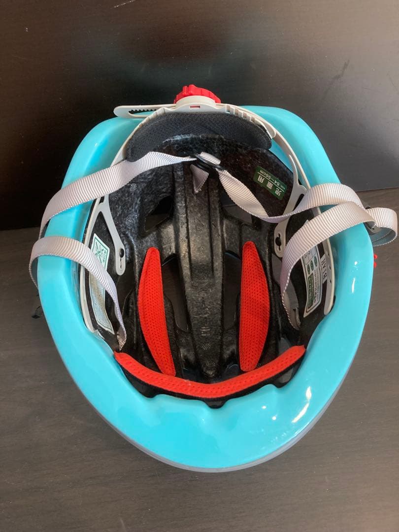 【愛知】サカモトテクノ　スパイスアップ　22インチ（女の子）ヘルメット付